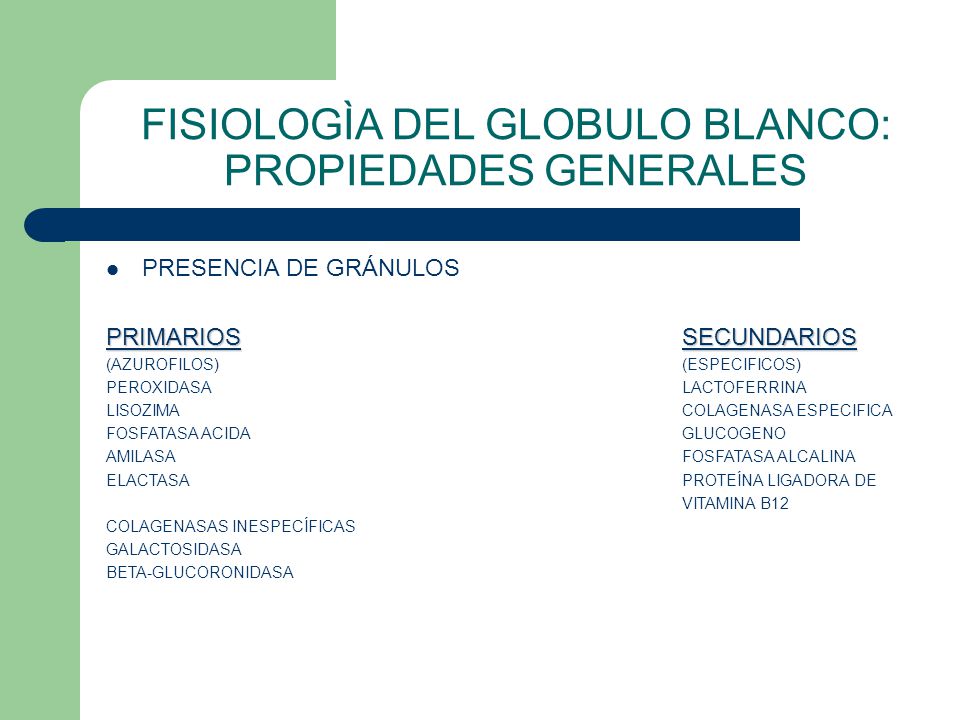 proteina ligadora de vitamina b12 proteina ligadora de vitamina b12